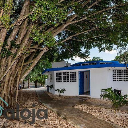 Villa Xtohil With Private Access To The Magic 7 Colors Lagoon バカラル エクステリア 写真