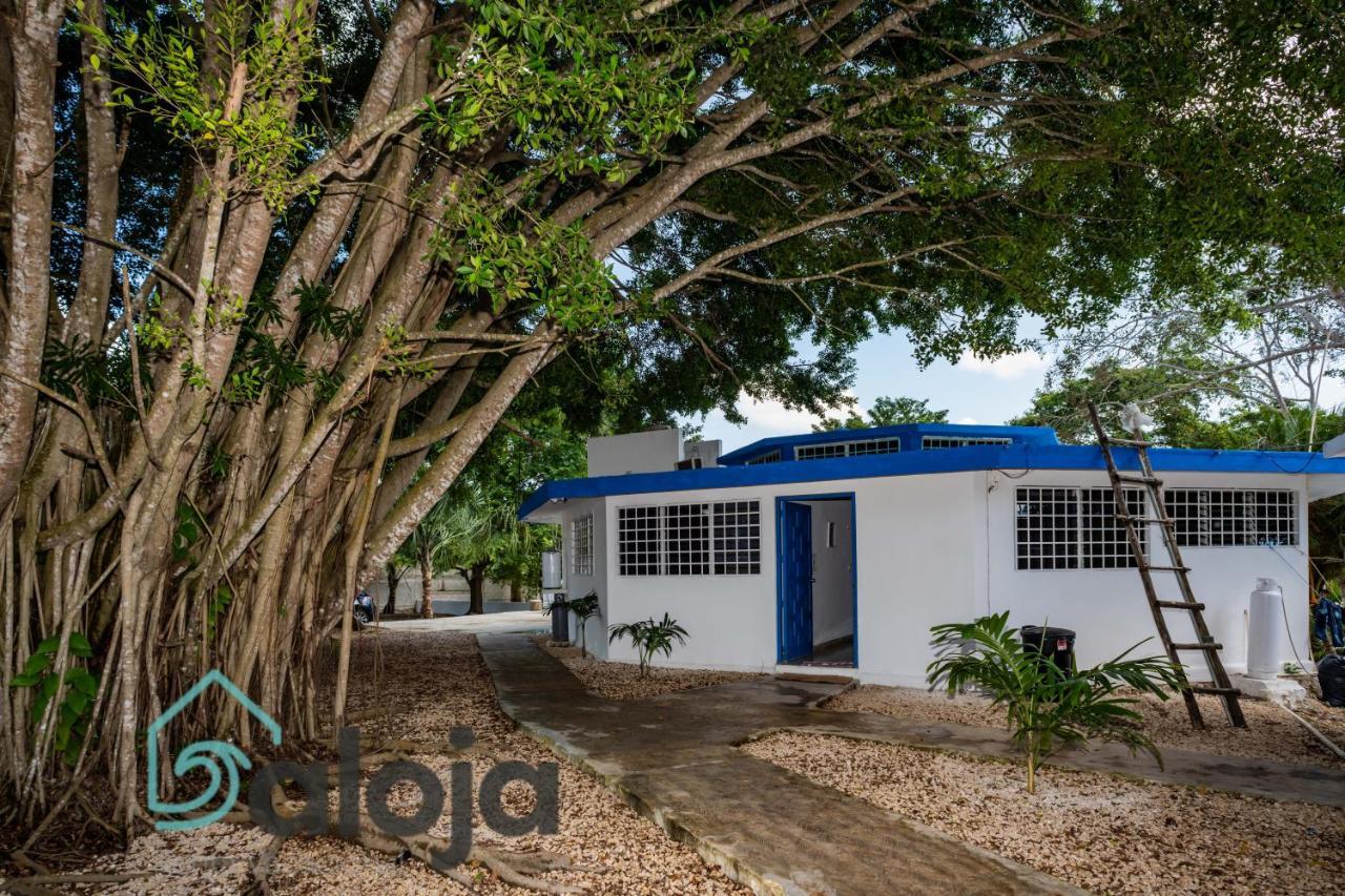 Villa Xtohil With Private Access To The Magic 7 Colors Lagoon バカラル エクステリア 写真
