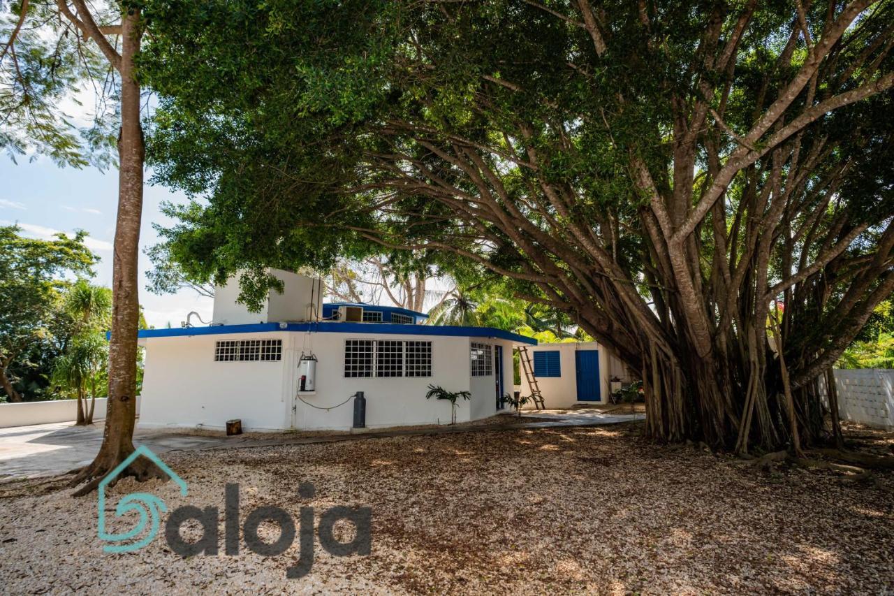 Villa Xtohil With Private Access To The Magic 7 Colors Lagoon バカラル エクステリア 写真
