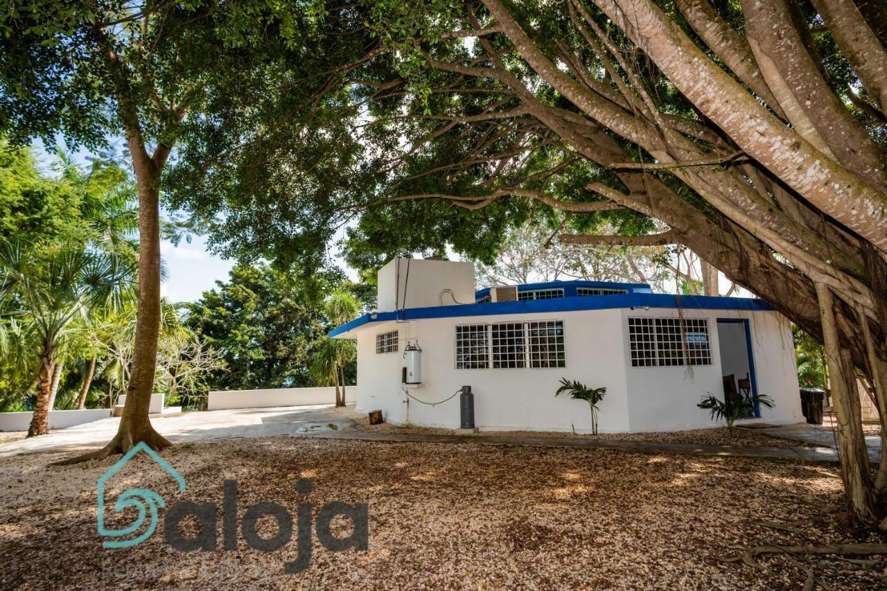 Villa Xtohil With Private Access To The Magic 7 Colors Lagoon バカラル エクステリア 写真